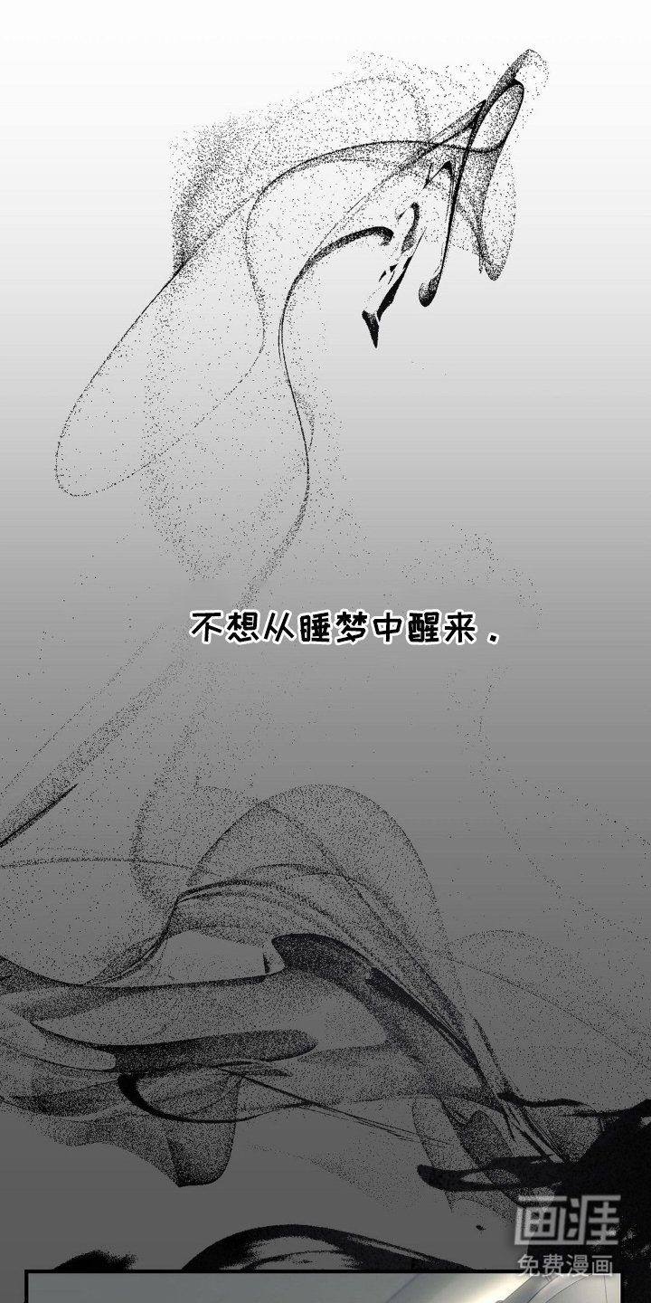 第1章：饲养的动物