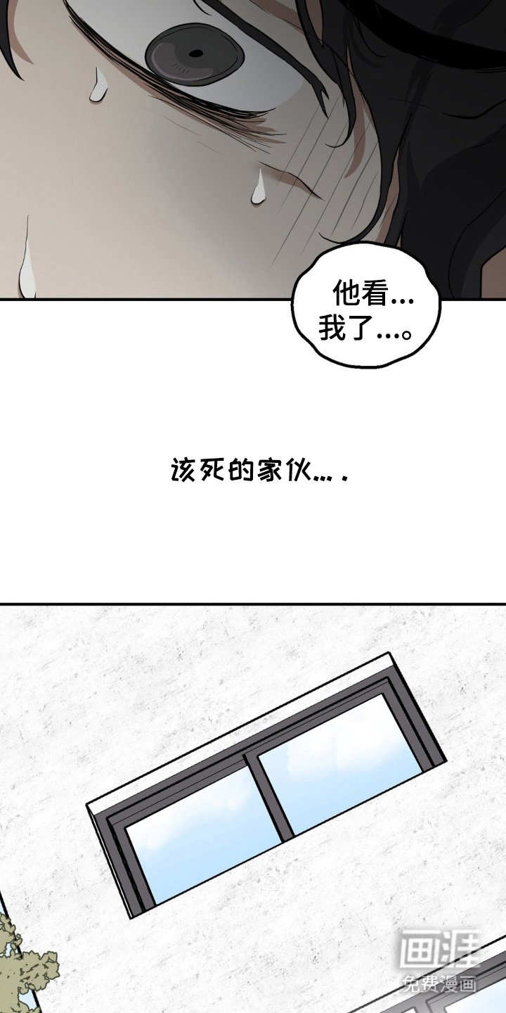 第1章：饲养的动物