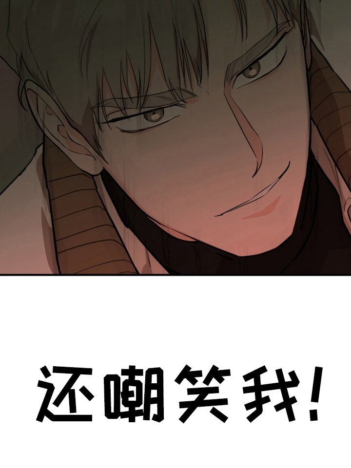 第1章：饲养的动物