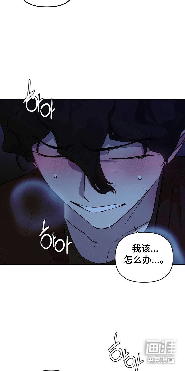 第20章：有人发现
