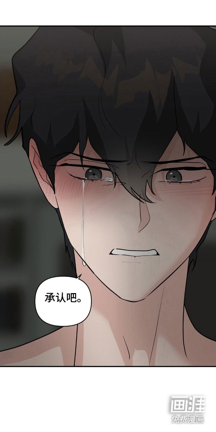 第47章：承认吧
