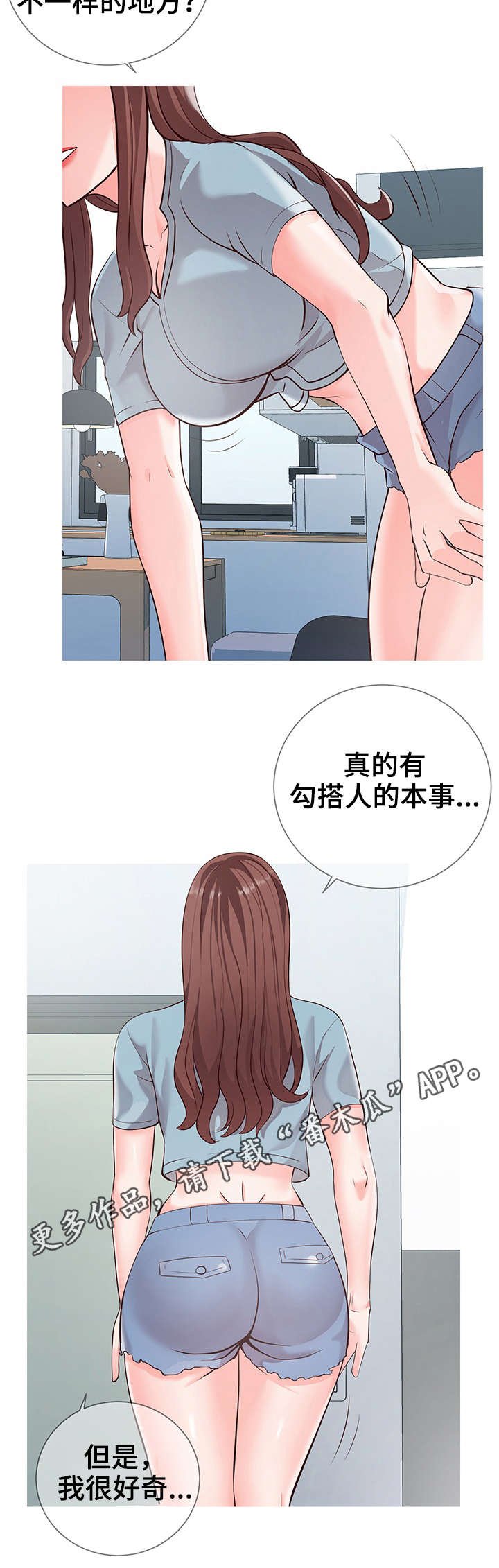 第12章：主题