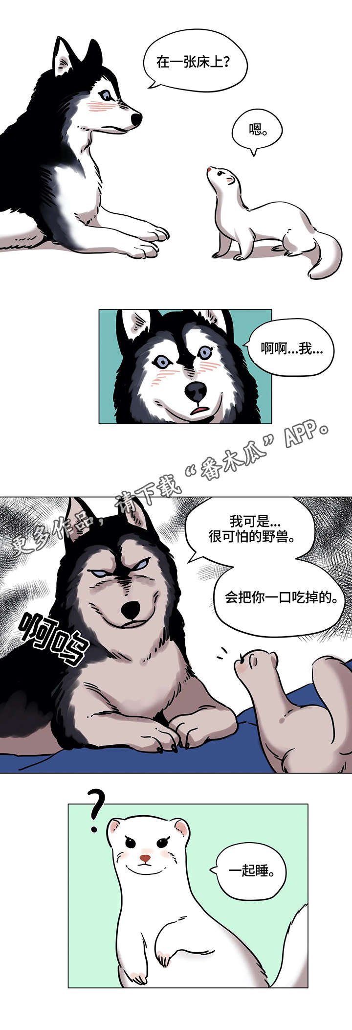 第18章：厨艺