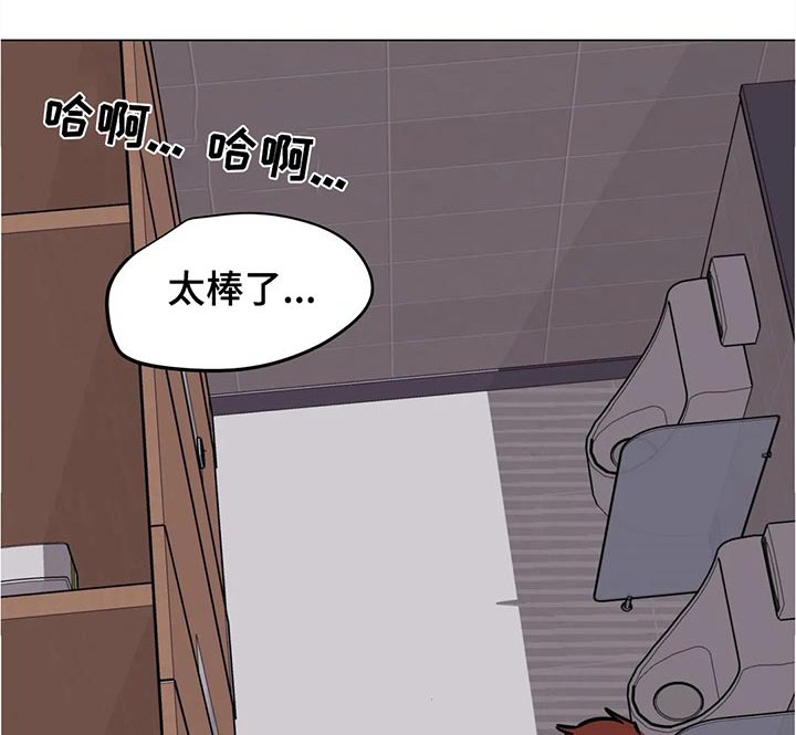 第37章：奇怪的软件