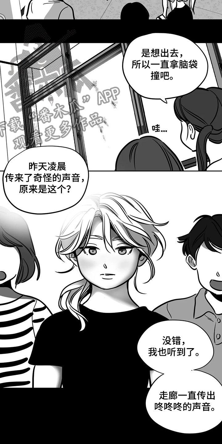 第60章：【第二季】撞死的鸟