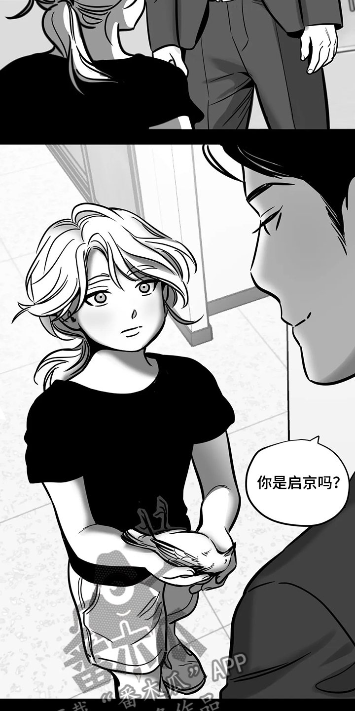 第60章：【第二季】撞死的鸟