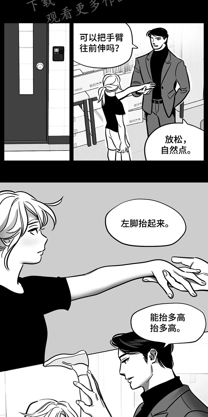 第60章：【第二季】撞死的鸟