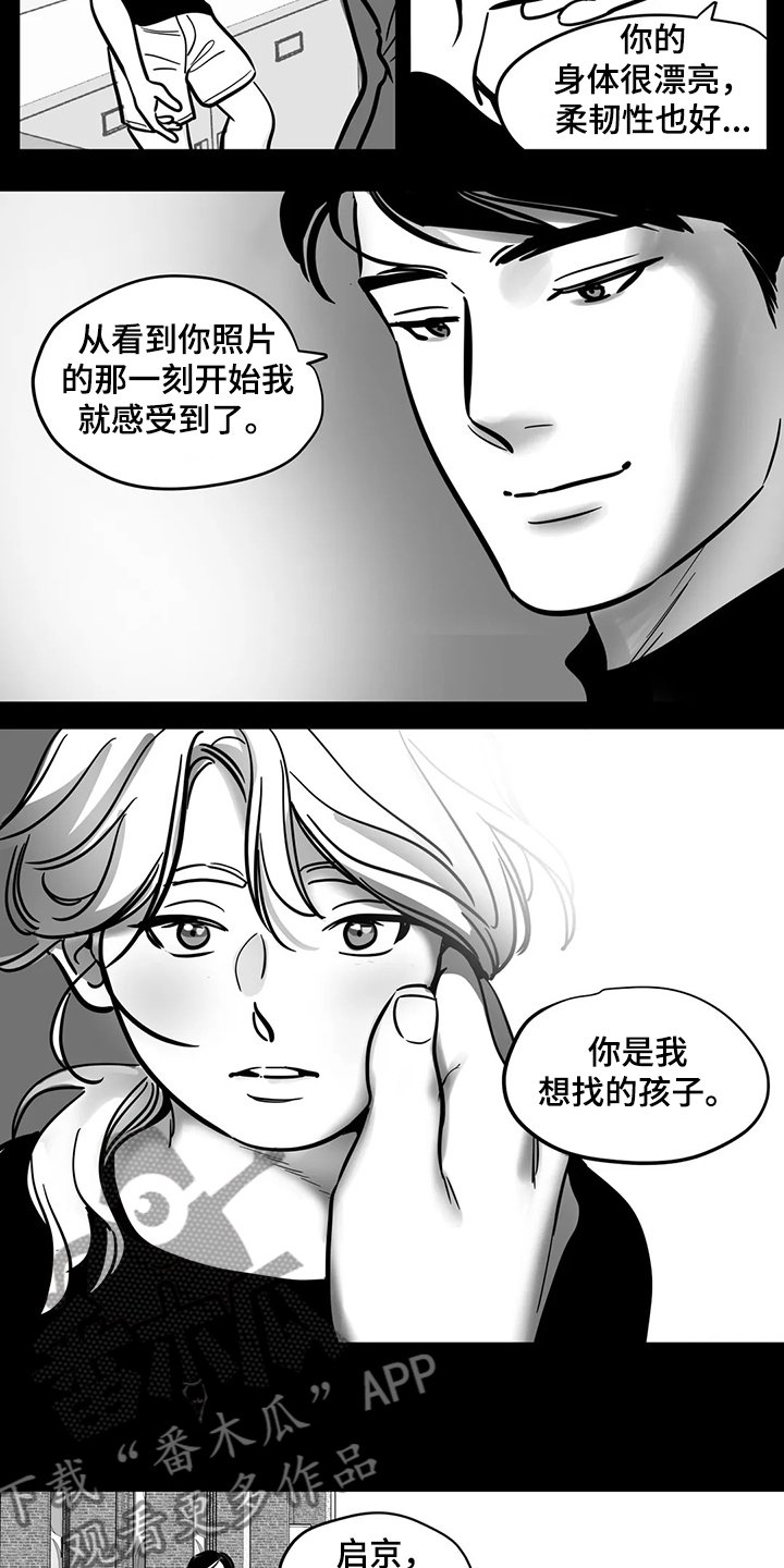 第60章：【第二季】撞死的鸟