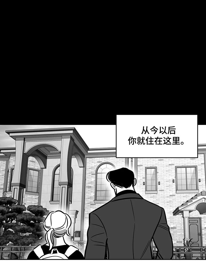 第60章：【第二季】撞死的鸟