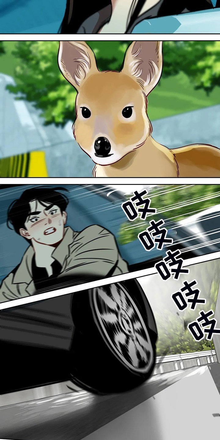 第72章：【第二季】离开与再遇