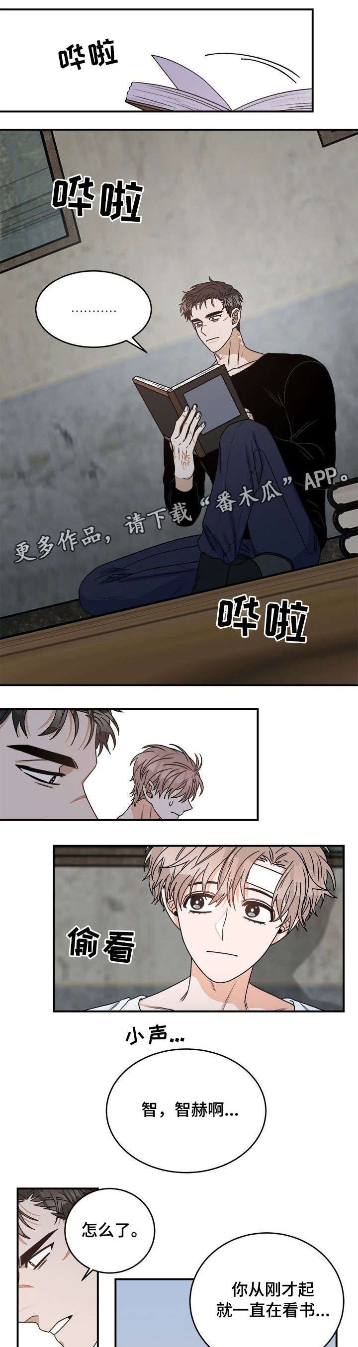 第13章：问题