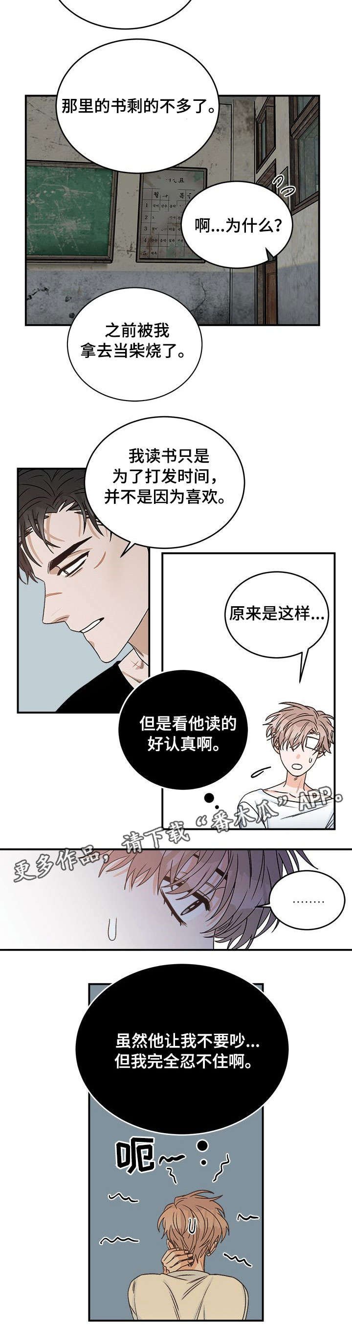第13章：问题