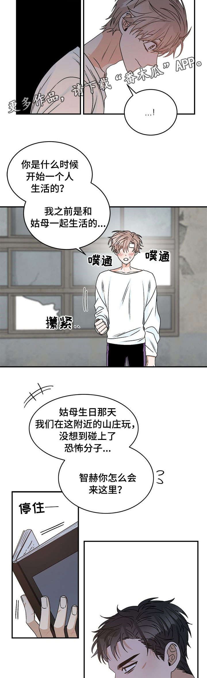 第13章：问题