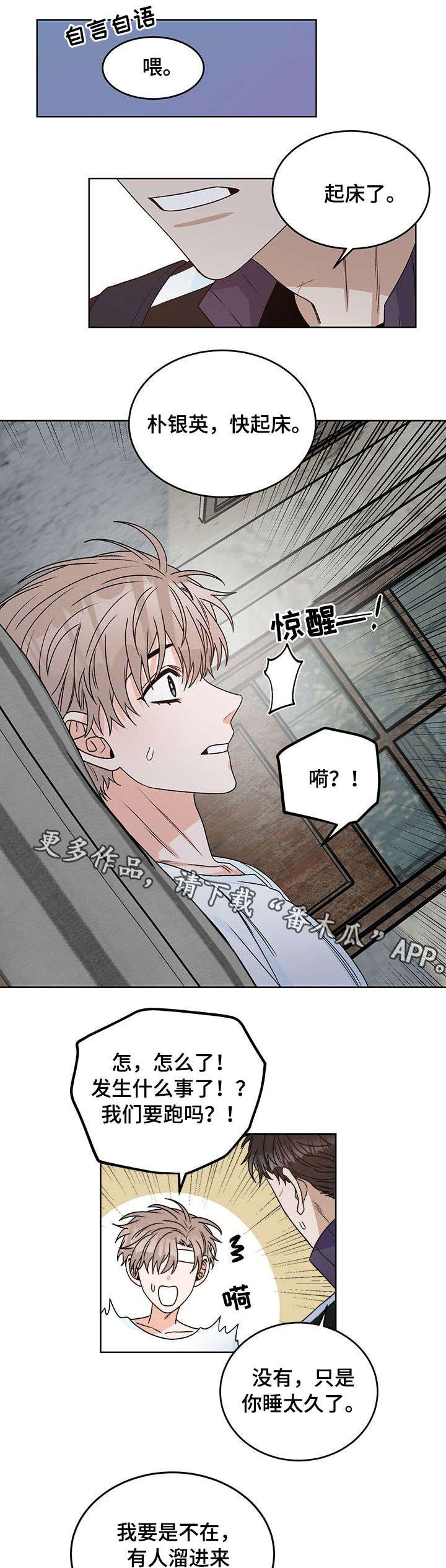 第16章：痛觉