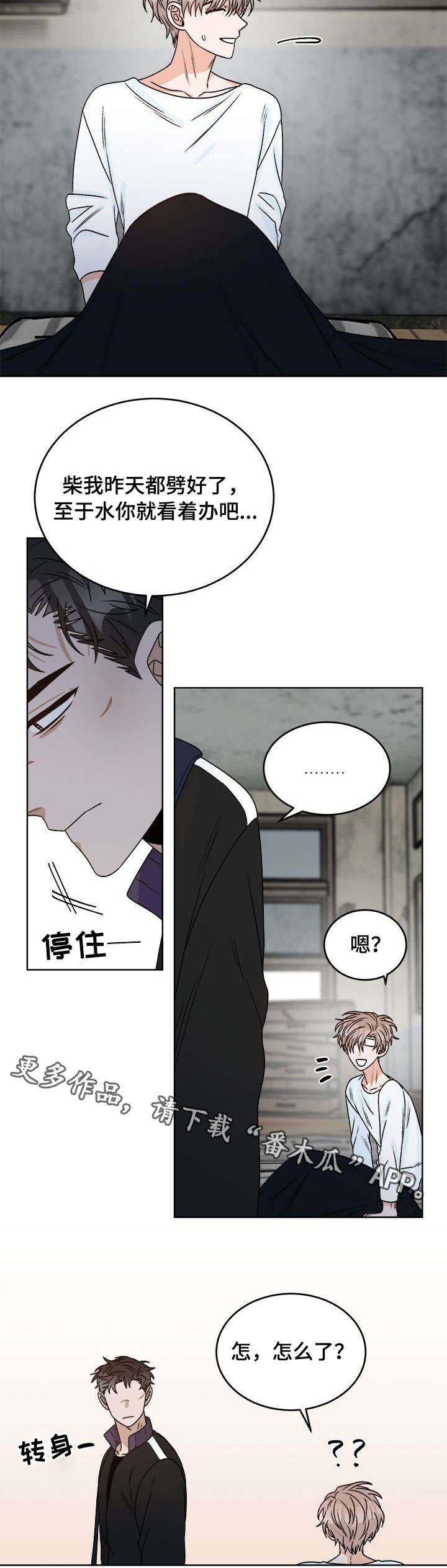 第16章：痛觉
