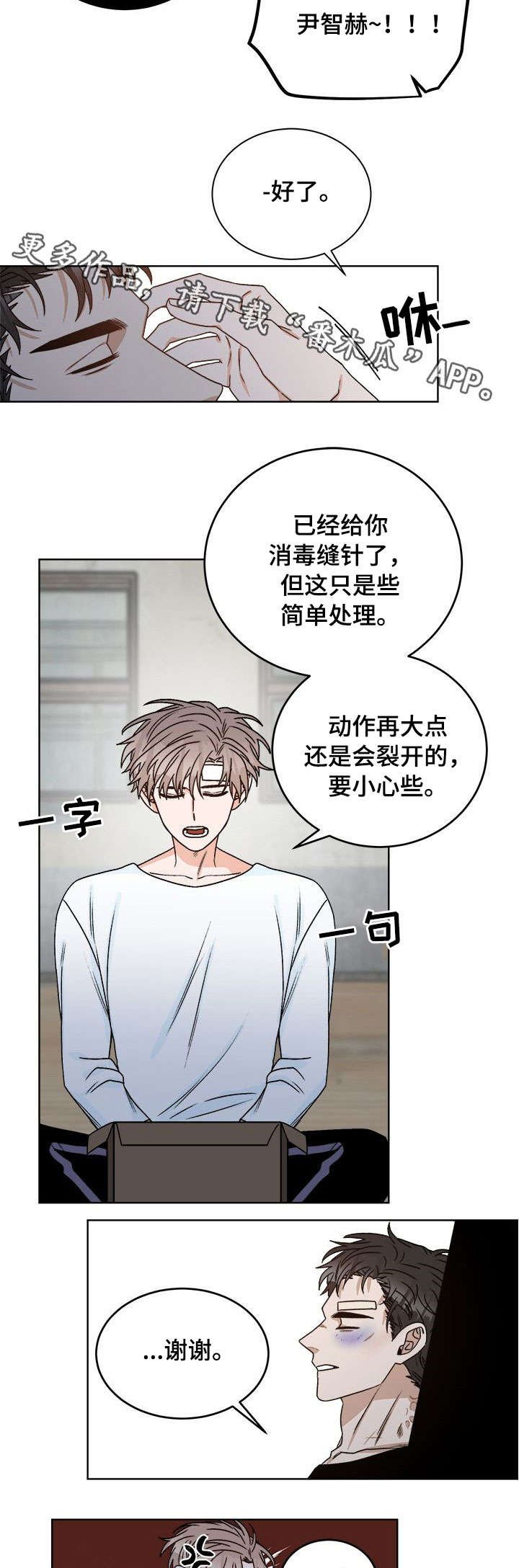 第16章：痛觉