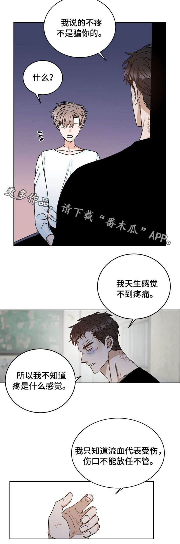 第16章：痛觉