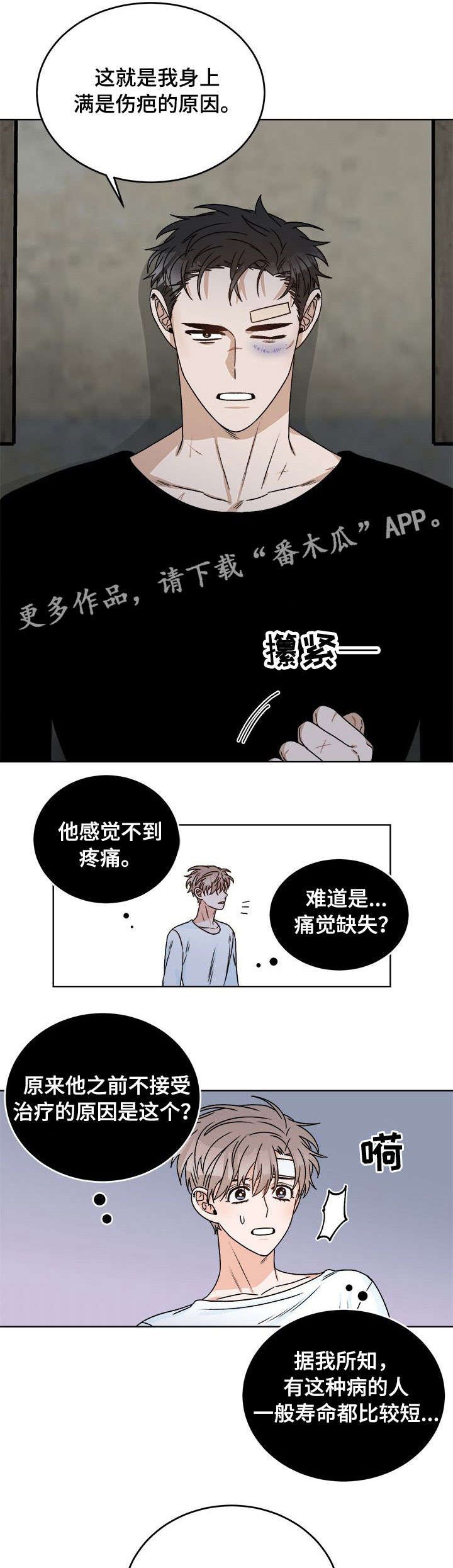 第16章：痛觉