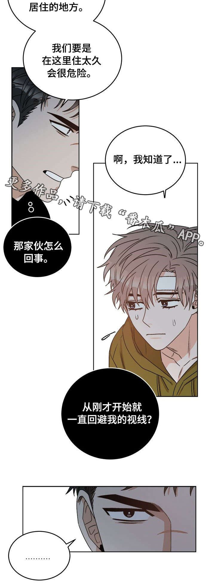 第19章：视线