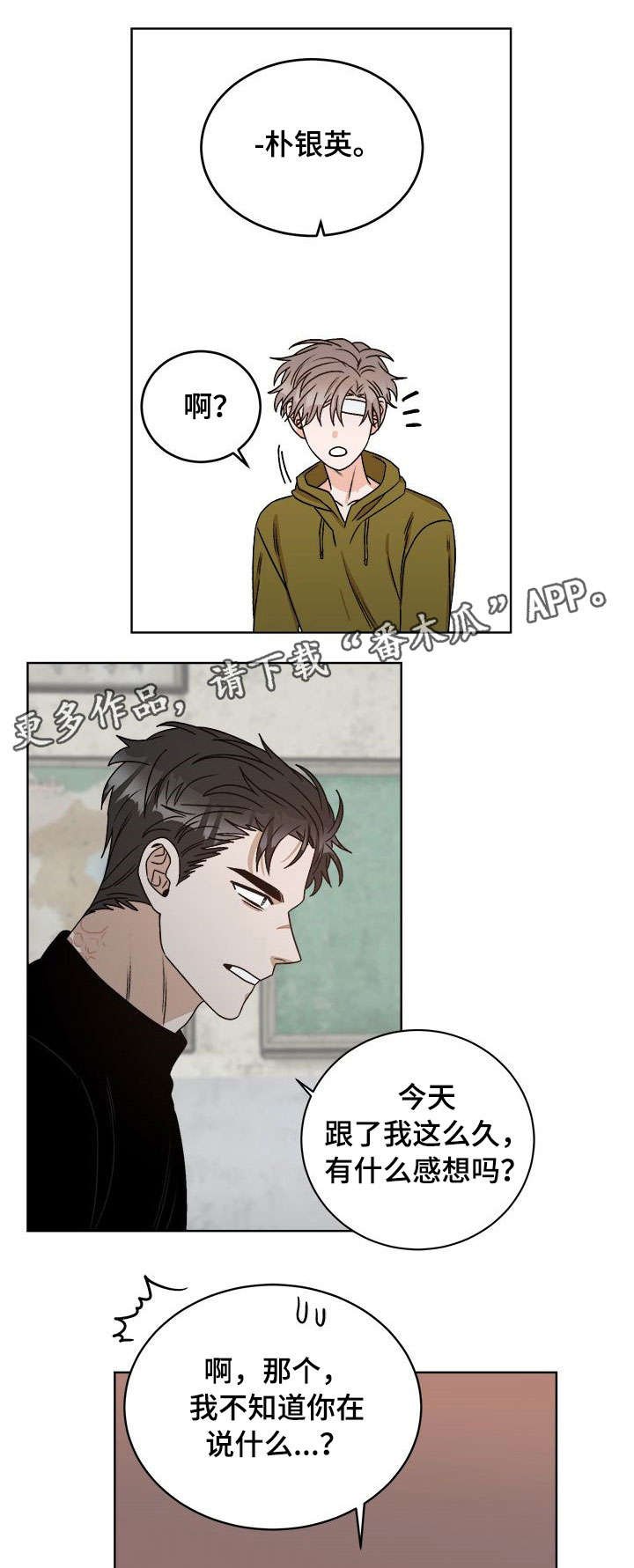 第19章：视线