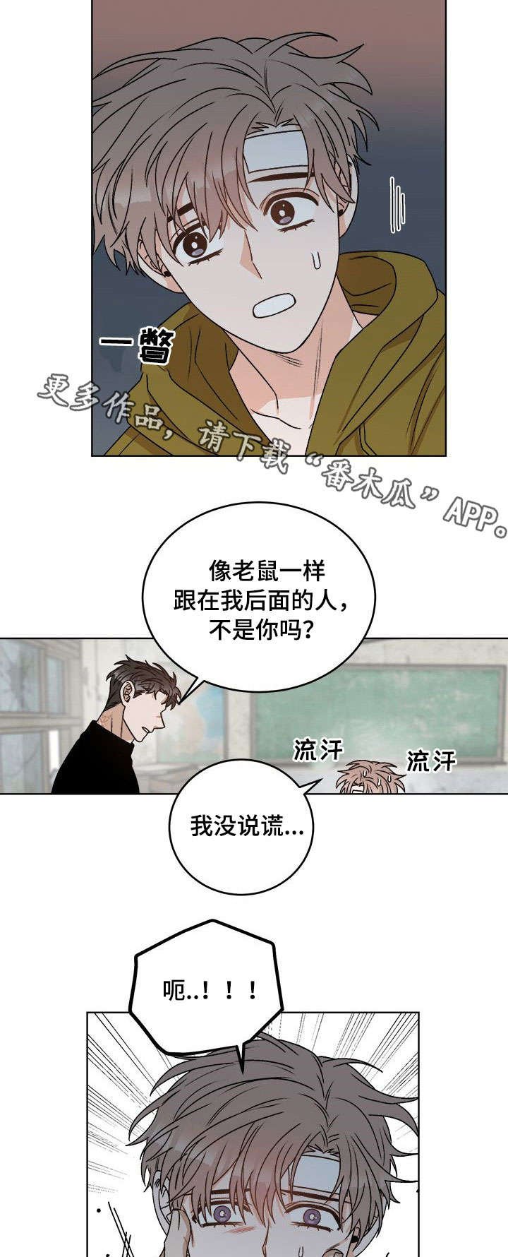 第19章：视线