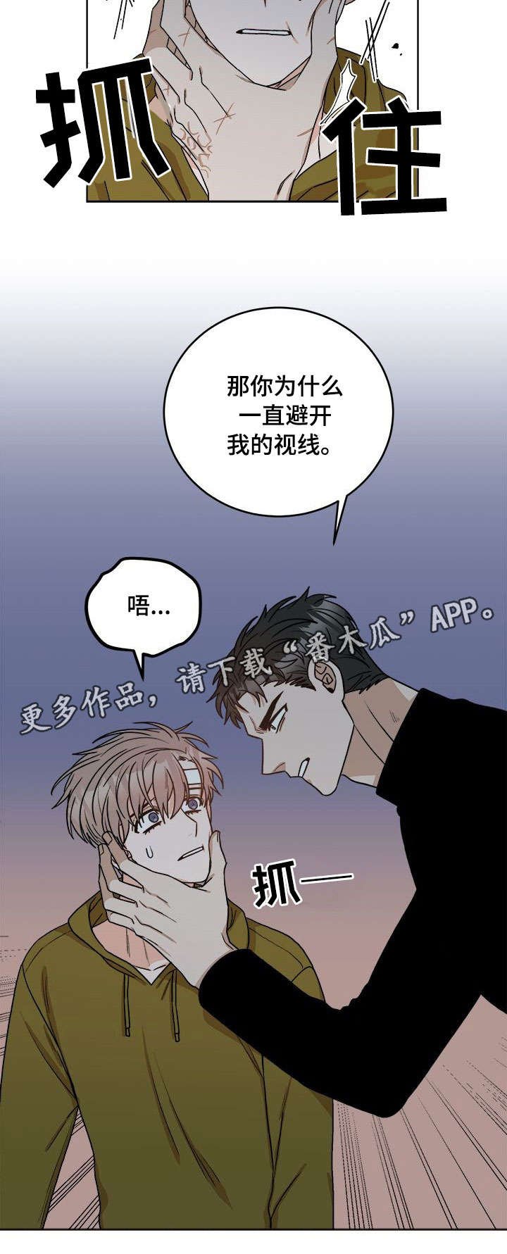 第19章：视线