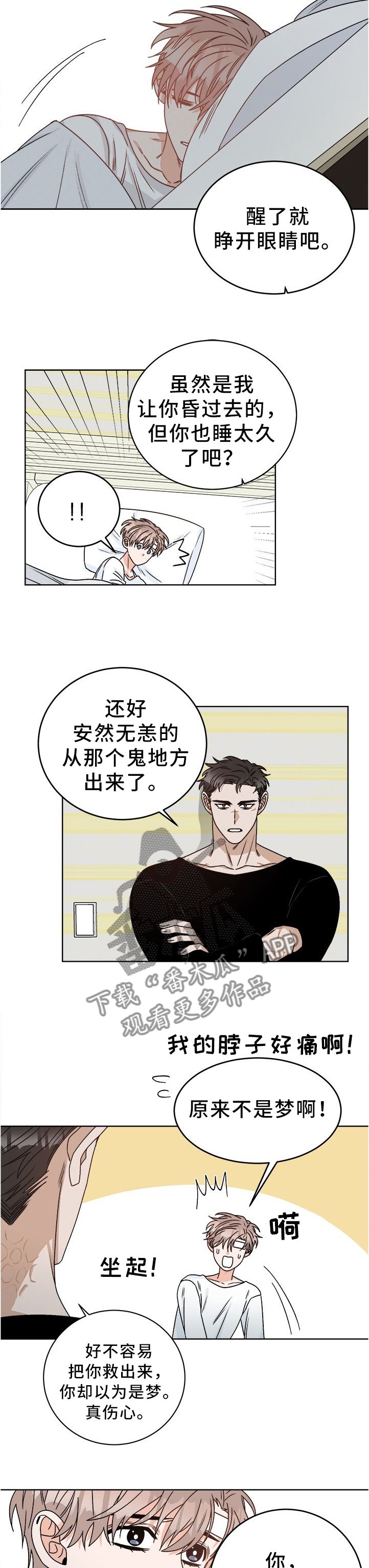 第26章：我喜欢...你