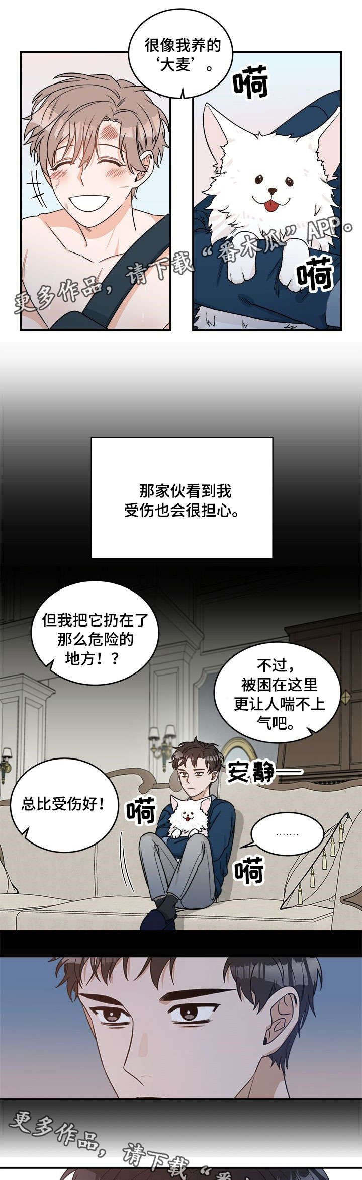 第3章：包扎