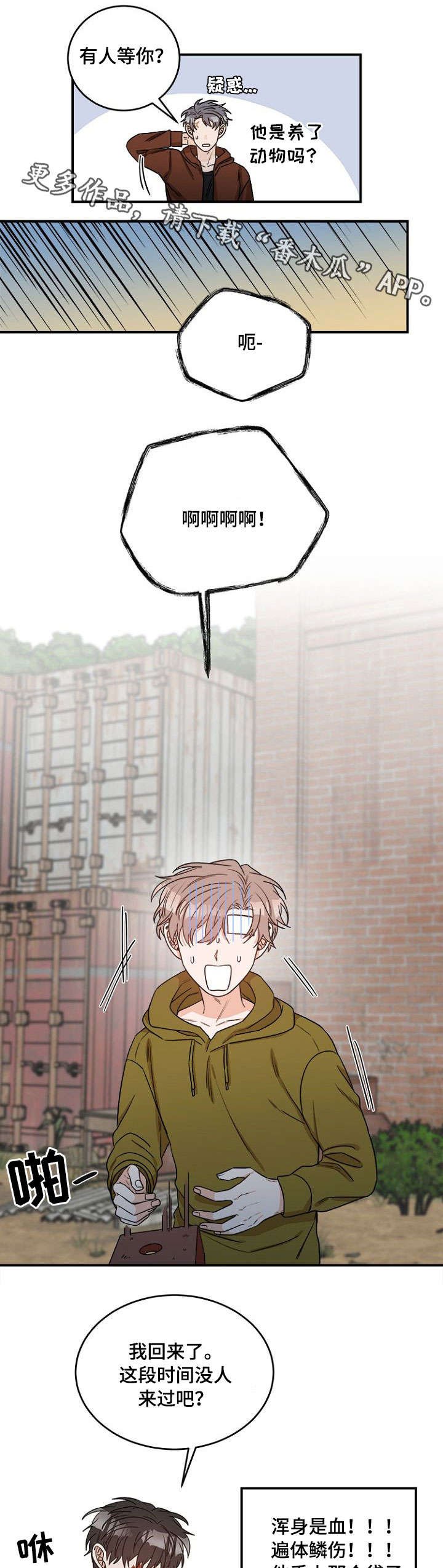 第6章：寻找