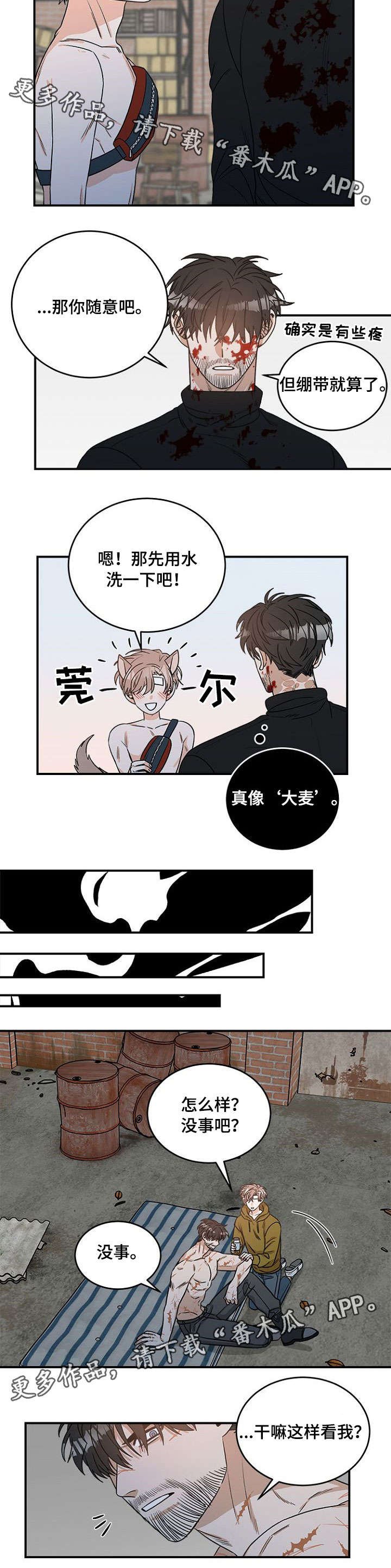 第6章：寻找