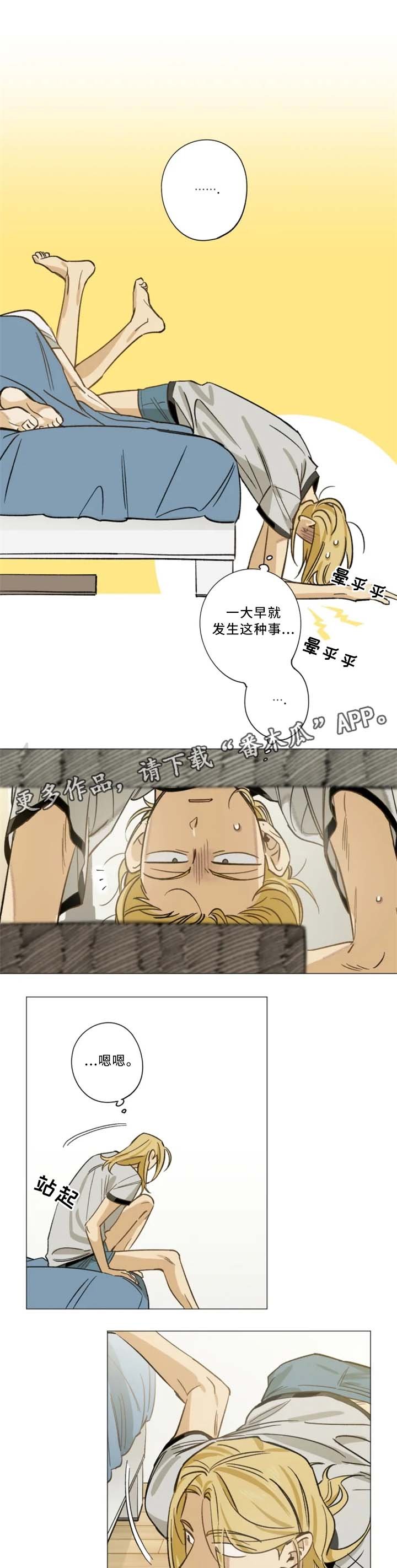 第16章：和解