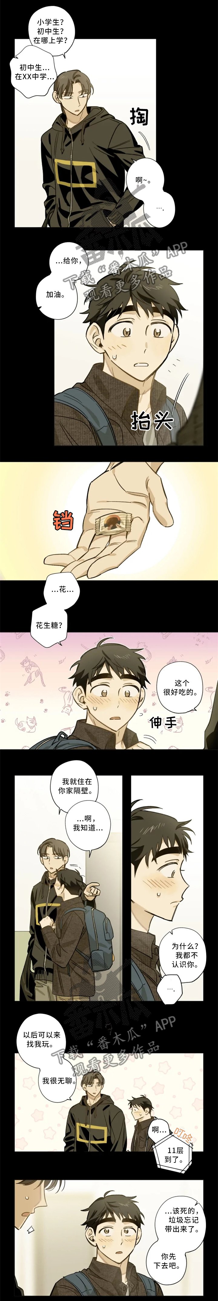 第19章：担心