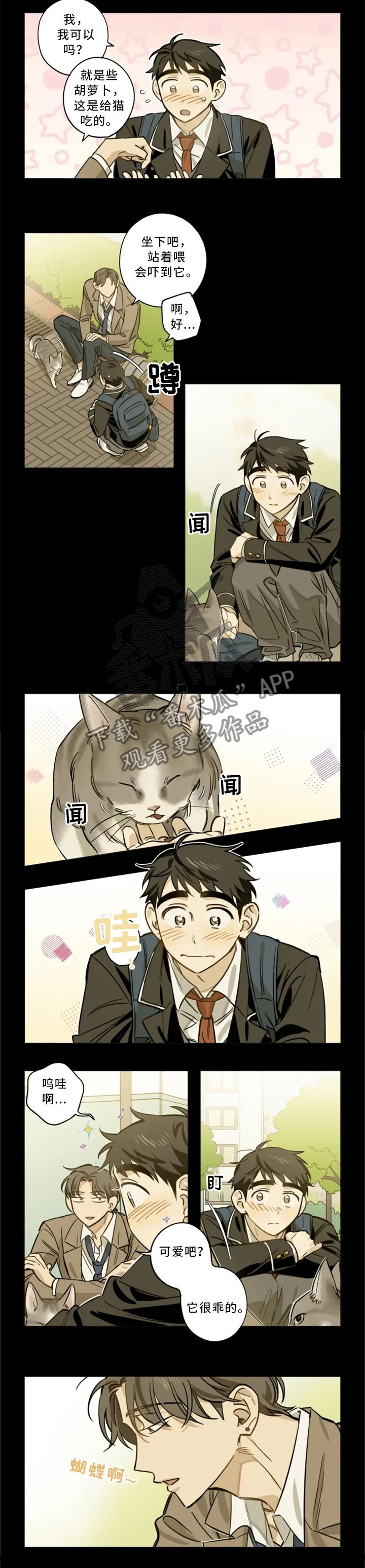 第20章：手机