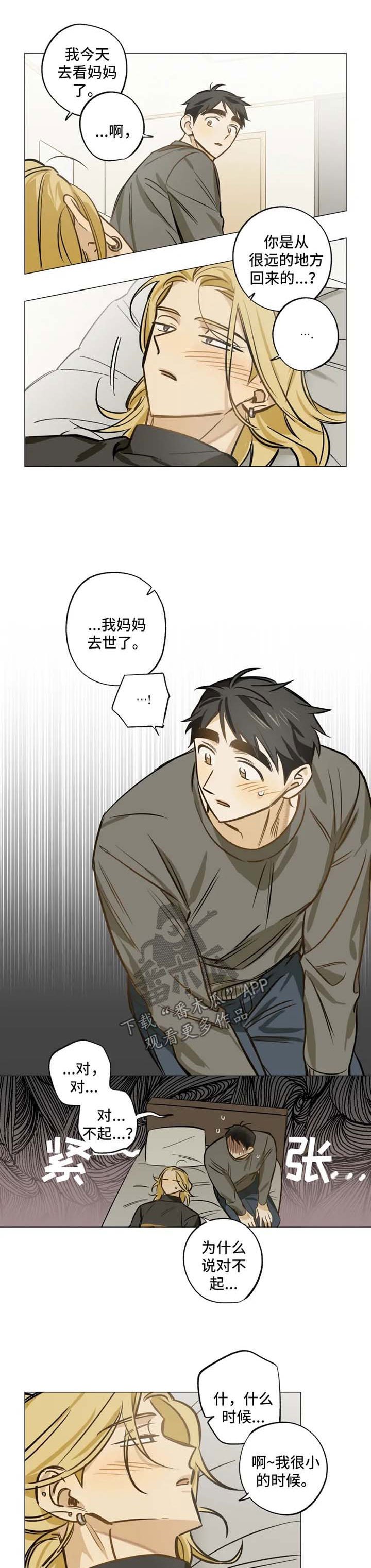 第34章：为什么喜欢我