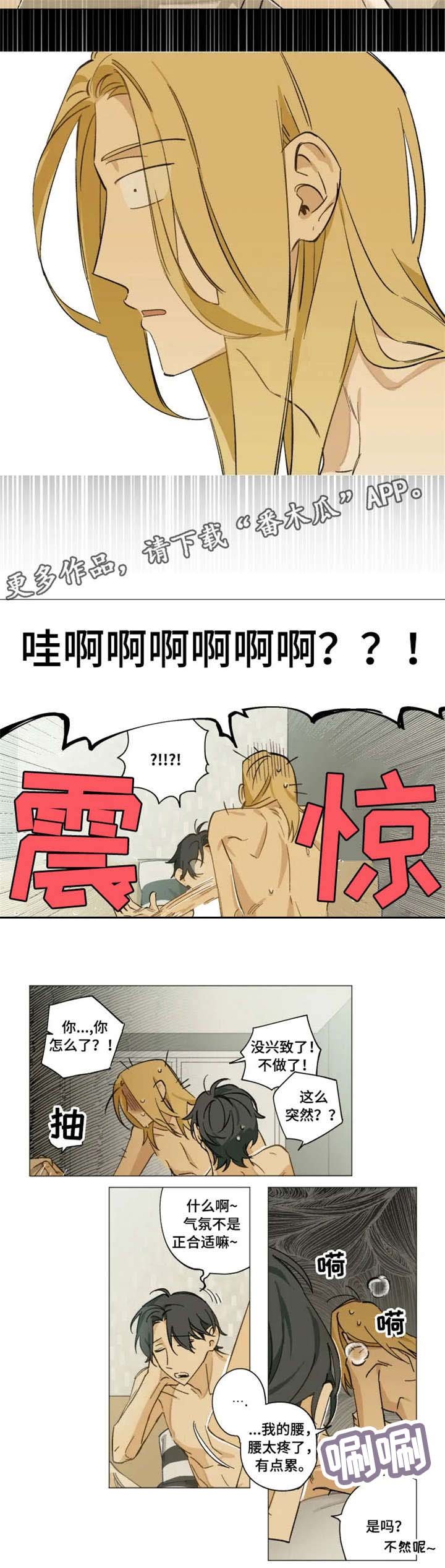 第5章：摄像机