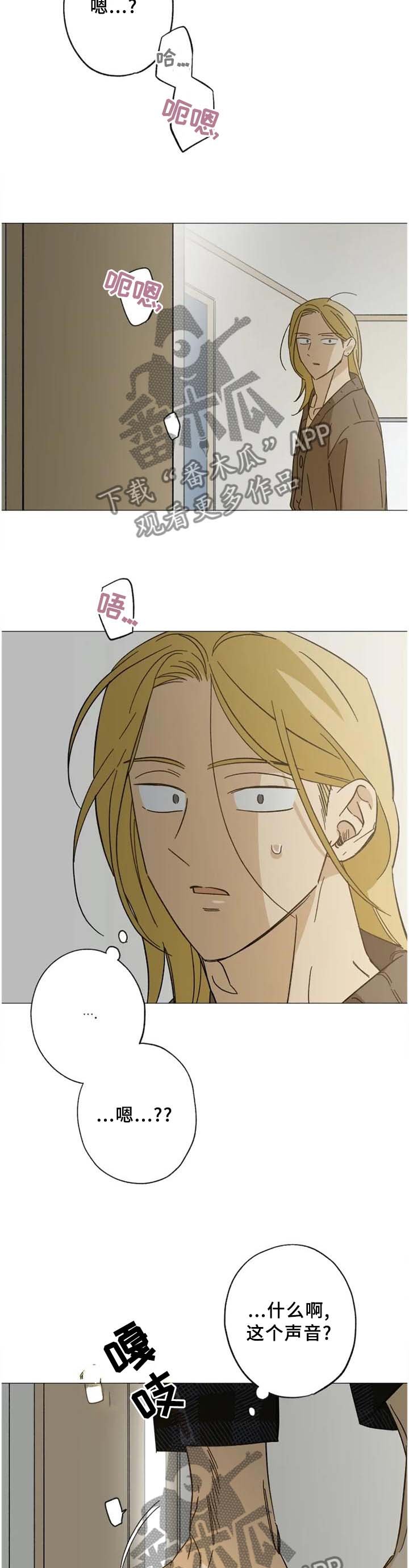 第60章：目击
