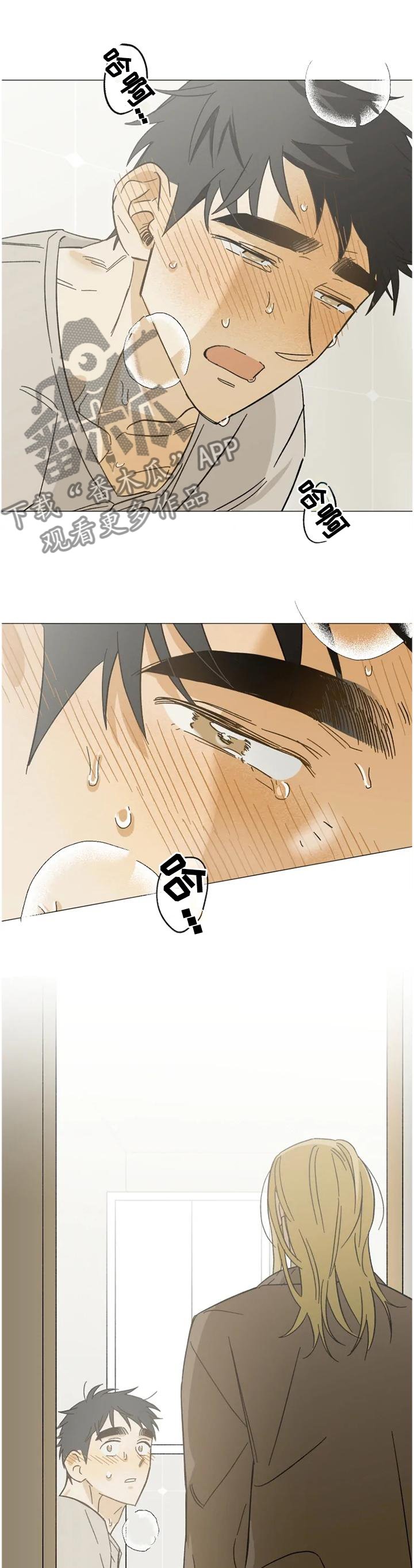 第60章：目击