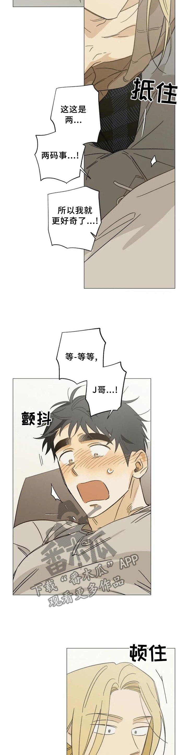 第62章：打开了开关