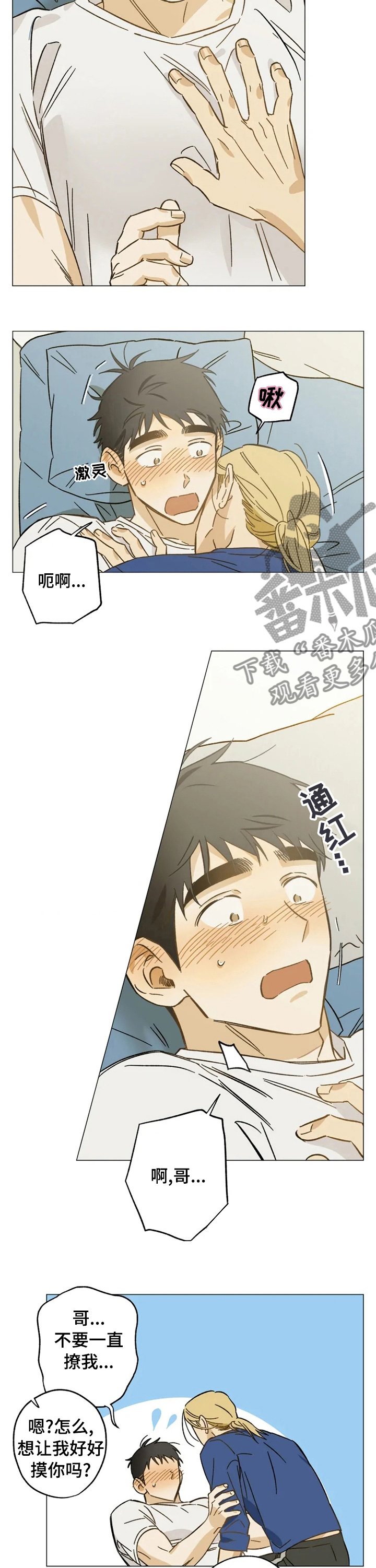 第66章：撒娇