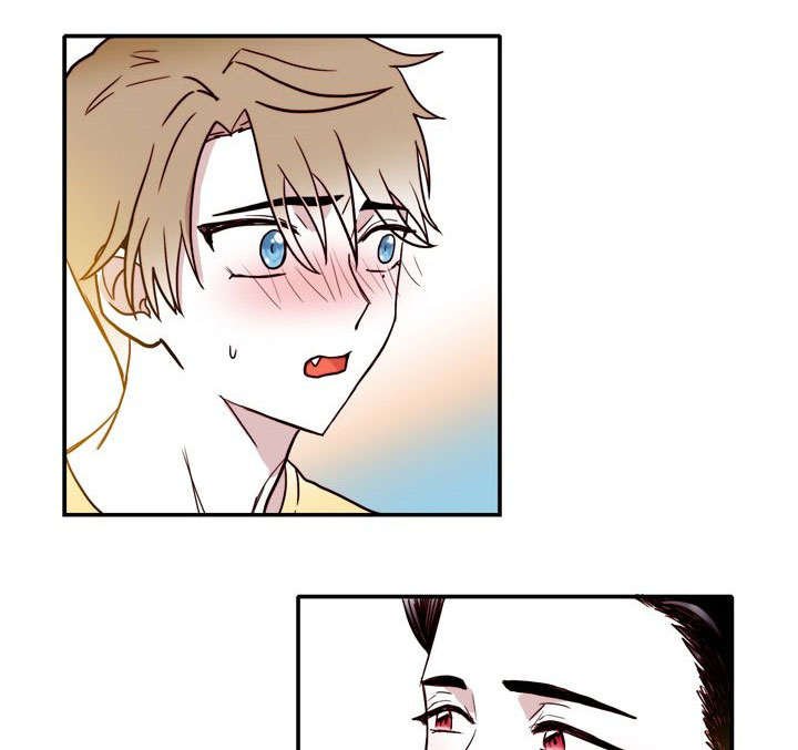 第14章：原谅