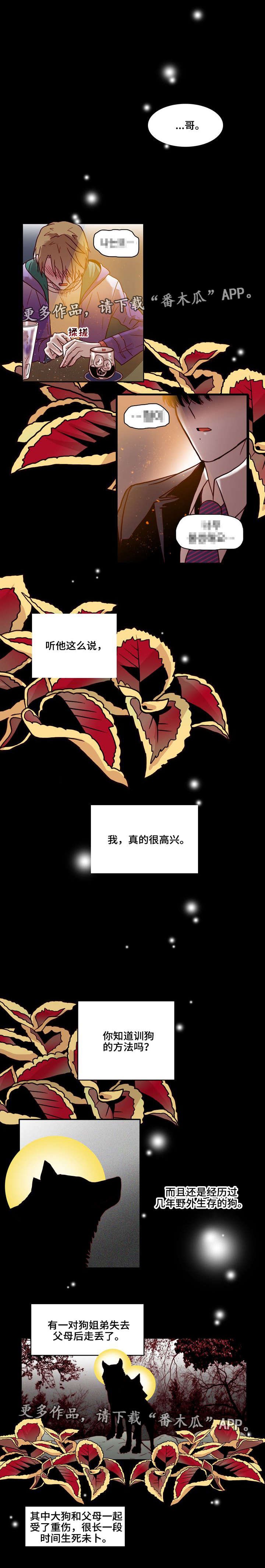 第18章：训狗