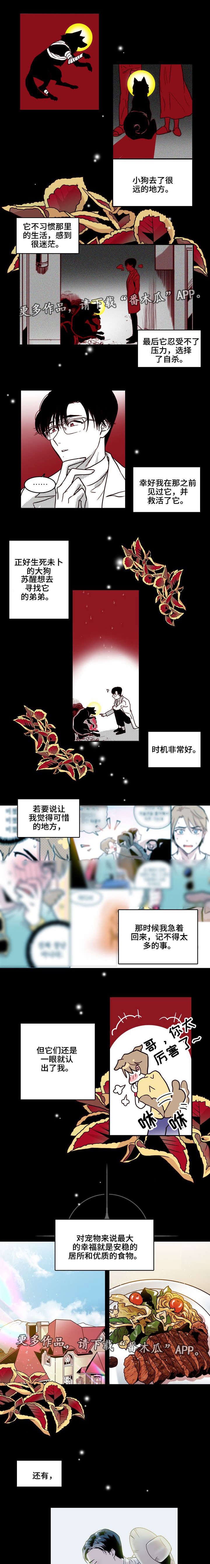 第18章：训狗