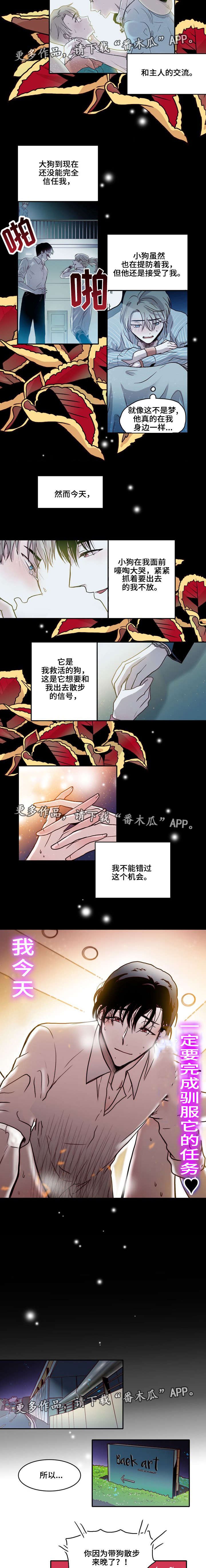 第18章：训狗