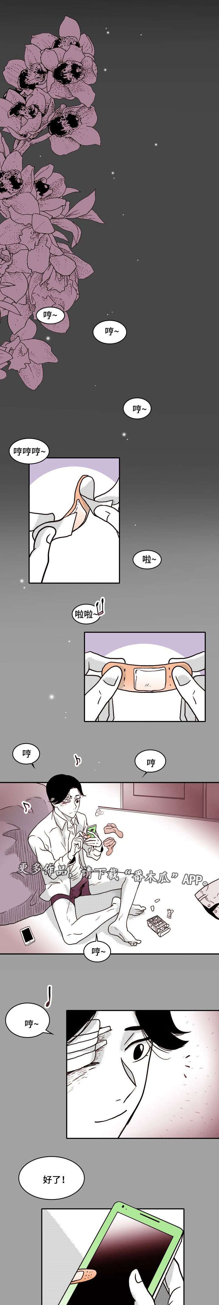 第26章：惊喜