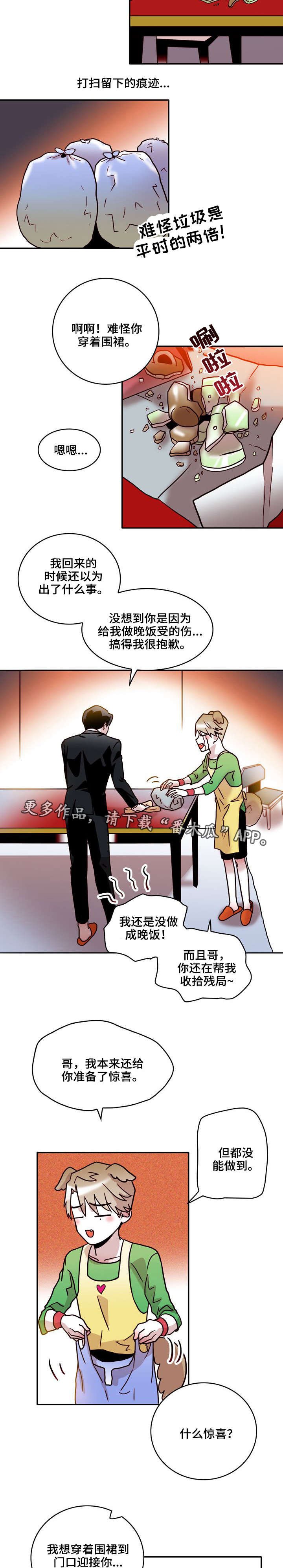 第29章：代替