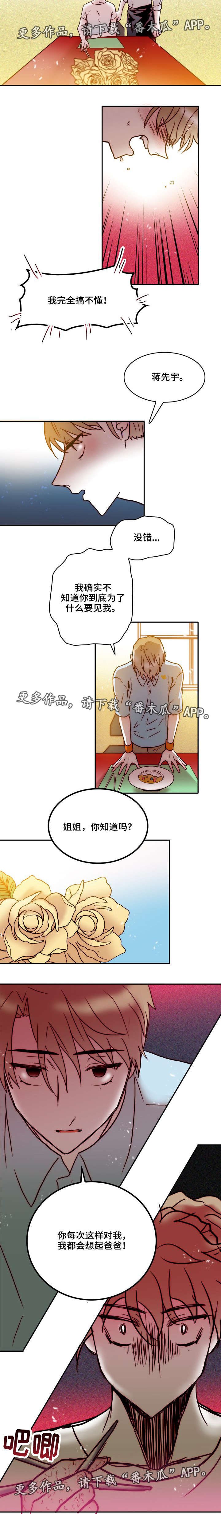 第32章：相似