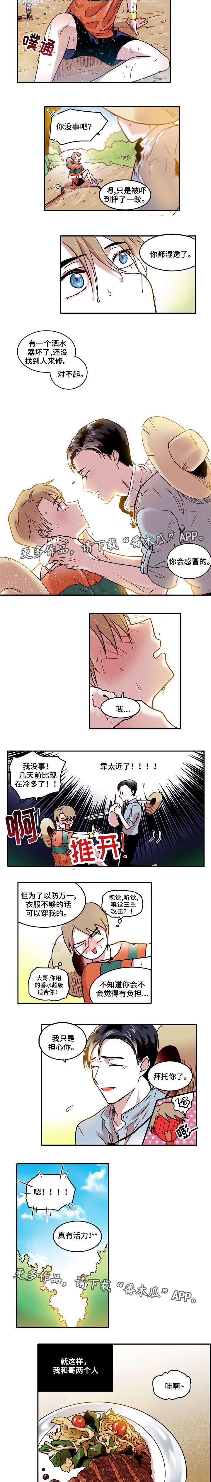 第7章：陪伴