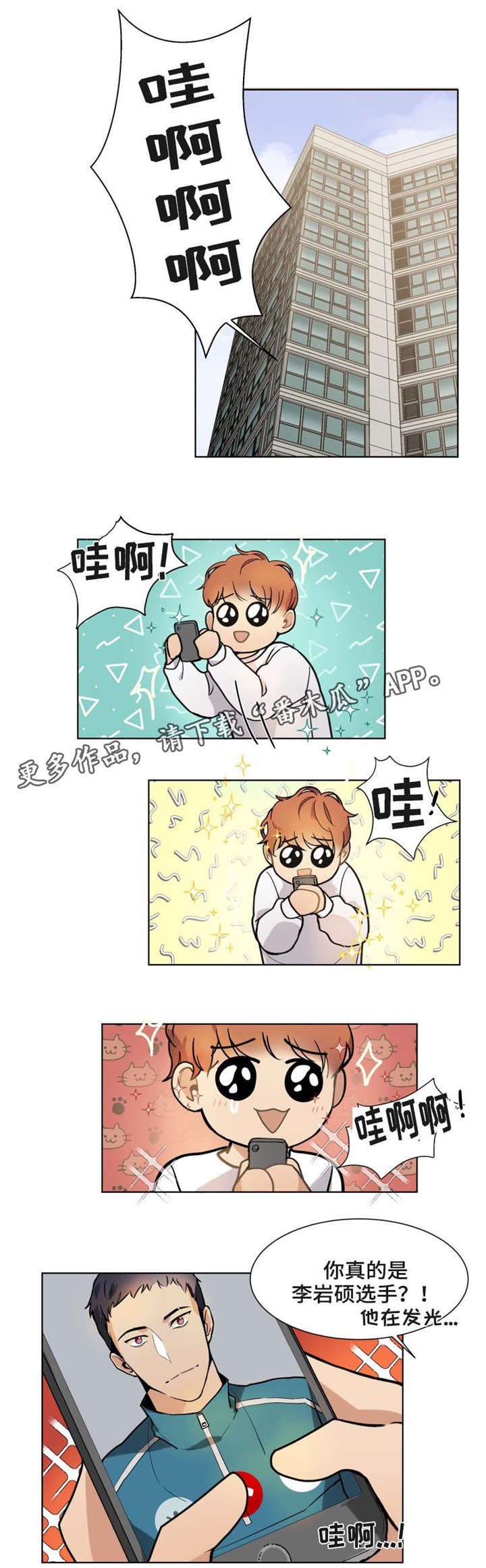 第15章：偶像