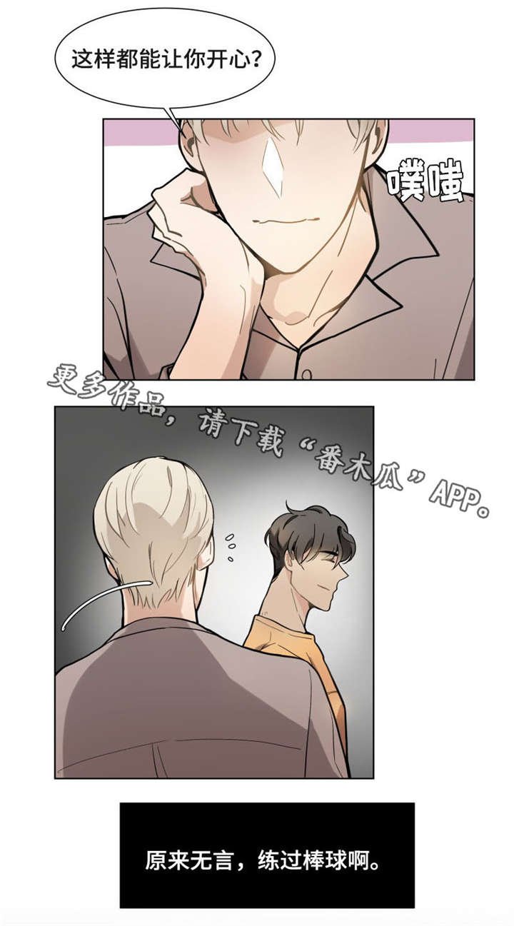 第15章：偶像