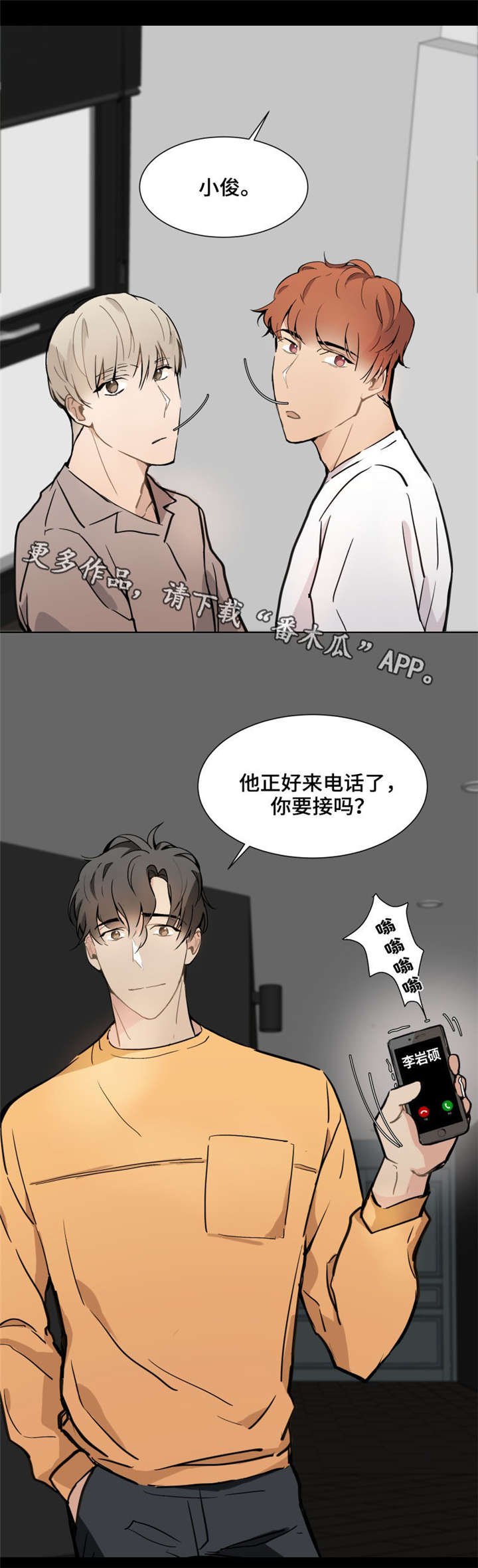 第15章：偶像